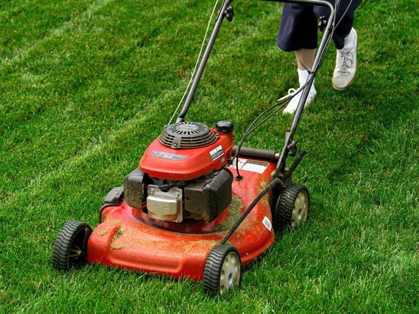 lawn mower 17497 600x450