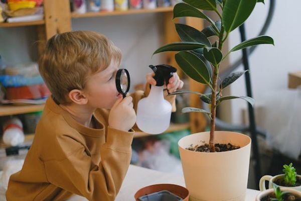 Boy watering a plant 600 Unsplash