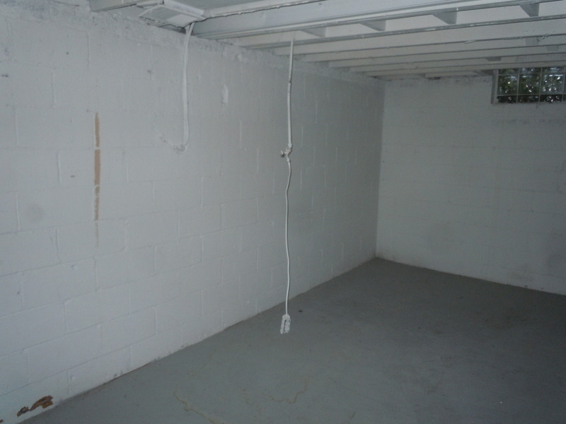 Michigan basements