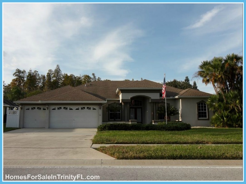 Trinity Florida Homes for Sale - Find the home of your dreams in one of the homes for sale in Trinity FL! 