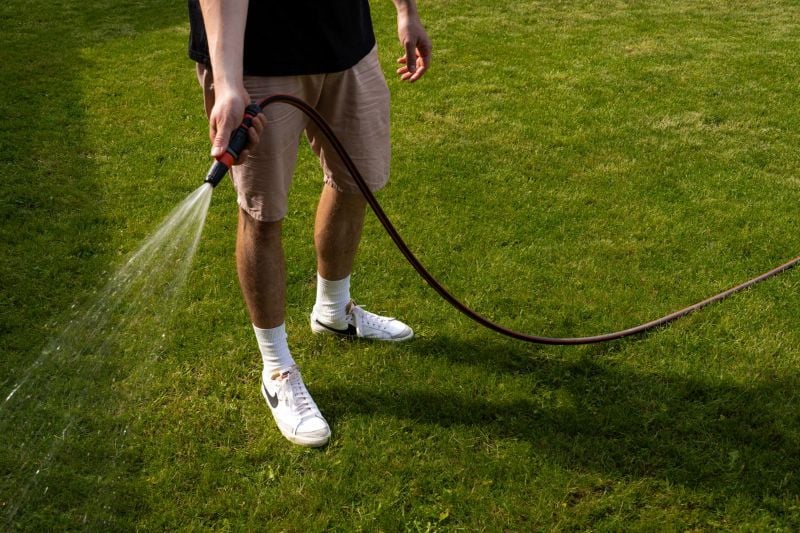 Simple Yard Upgrades That Make Watering Easier