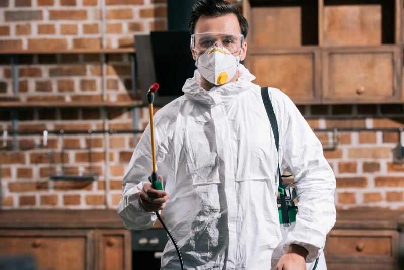 7 Ways to Control Pests in Summer