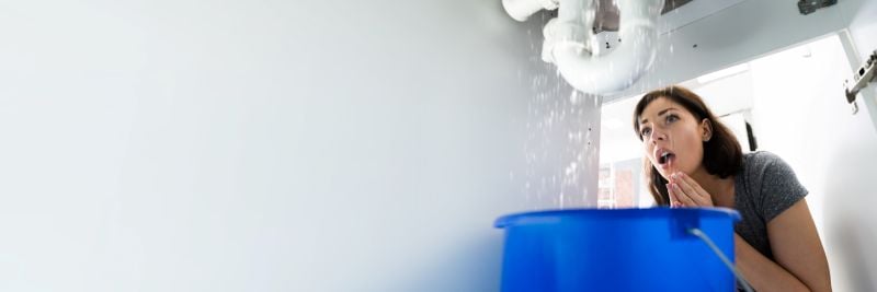 Plumbing Red Flags Homebuyers Should Check Before Purchasing an Older Home