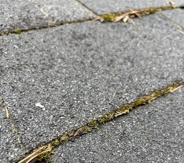 5 Roof Questions to Ask Before Buying