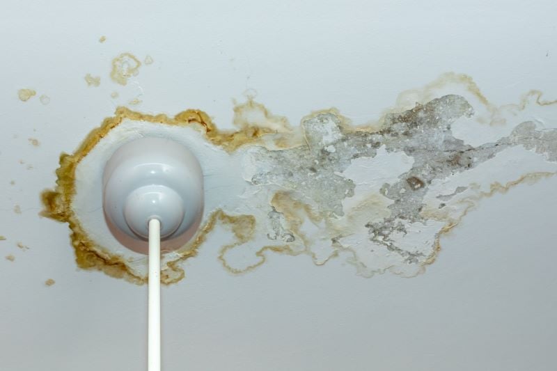 Before You List: A Restoration Pro's Pre-Sale Guide to Water, Mold & Fire Damage