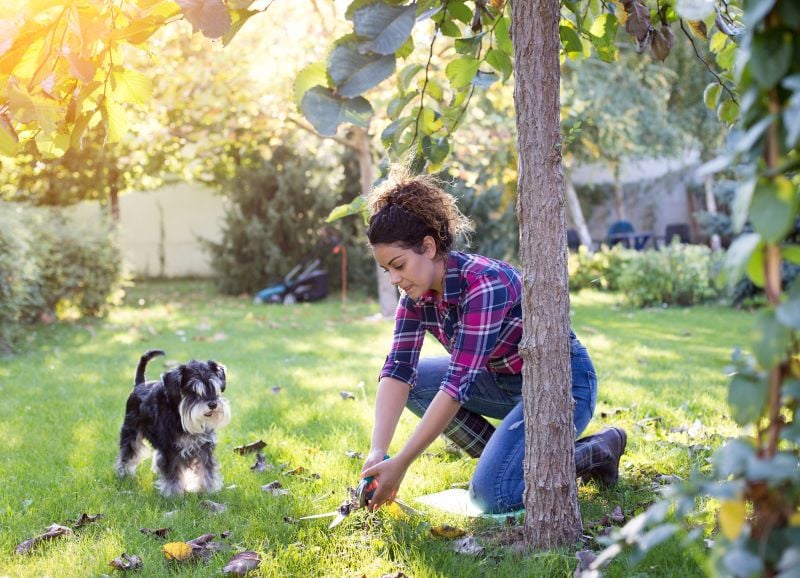 How to Get a Jump on Fall Home Projects