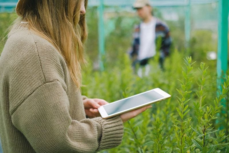 Smart Upgrades for Your Garden