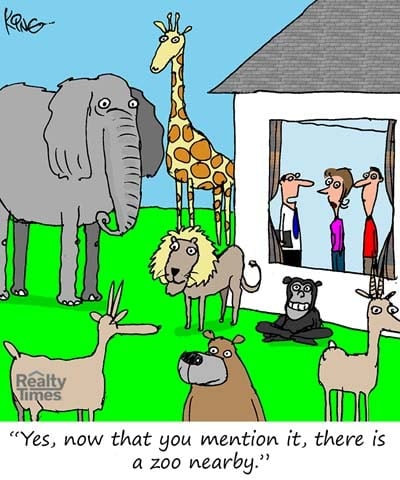 Daily Cartoon