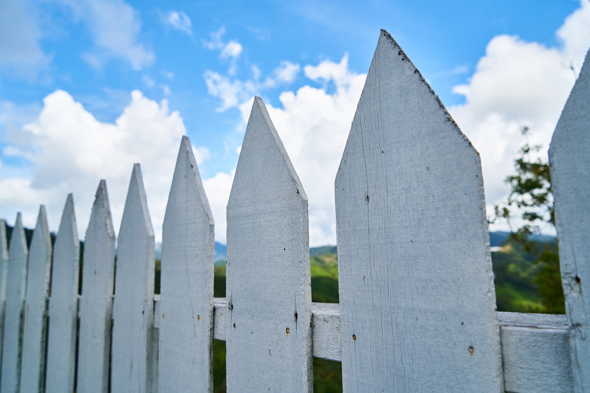 fence.jpg