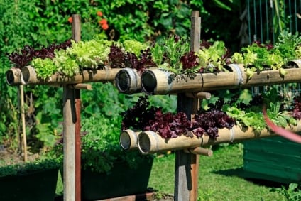 Improving Home Appeal: Herb Gardens