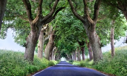 Increasing Your Property Value with Asphalt Paving