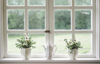Do Energy-Efficient Windows Really Save You Money?