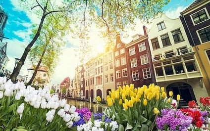 5 Tips To Refresh Your Home For Spring Time