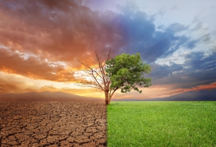Sustainability Provides a Value Proposition for Real Estate Professionals & Associations (NAR)