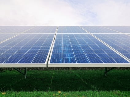 Save Big by Going Green With These Sustainability Tips