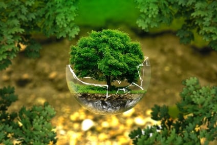 Making Your Home More Energy-Efficient
