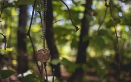 Things You Can Do to Become More Eco-Friendly