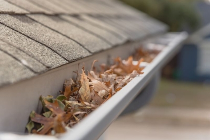 The Overlooked Dealbreaker: Why Gutter Maintenance Matters When Selling Your Home