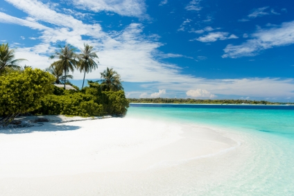 Hello From Paradise! The Chance To Work Remotely Sends Americans To Dream Destinations