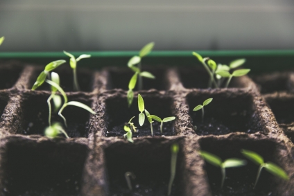 Family Home Improvement Projects You Can Do During the Quarantine