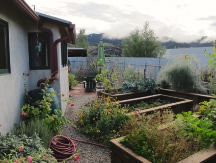 Saying Goodbye to Your Garden