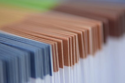 What is a Portfolio Loan?