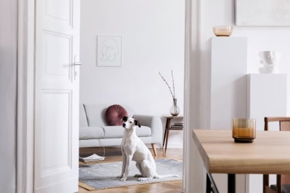 What Sellers Should Know About Pets and Showings