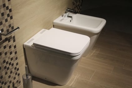 Is It Time to Buy a Bidet?