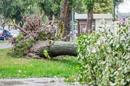 Choosing Hope in Devastation: Jason & Kim Kotecki