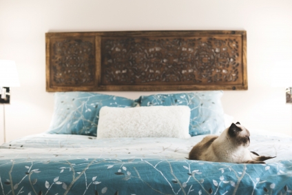 A Quick Guide on How to Decorate a Breathtaking Room