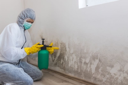 How to Handle Mould and Mildew in Commercial Buildings