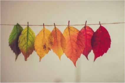 Which Are You? How Personalities Handle Different Kinds of Markets