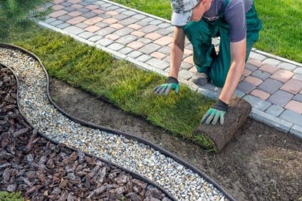 How to Design Landscaping for a Low-Maintenance Yard  