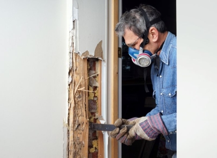 How Household Pests Affect Property Value and What You Can Do About It