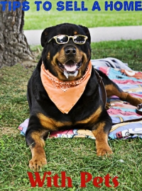 How To Sell A Home When You Have Pets