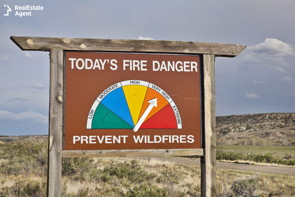 prevent wildfires