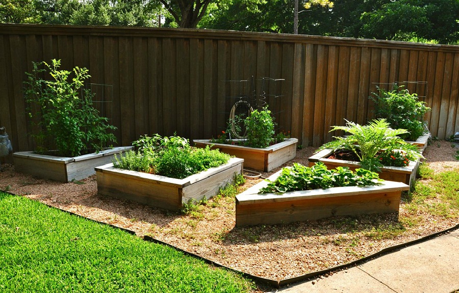 raised beds