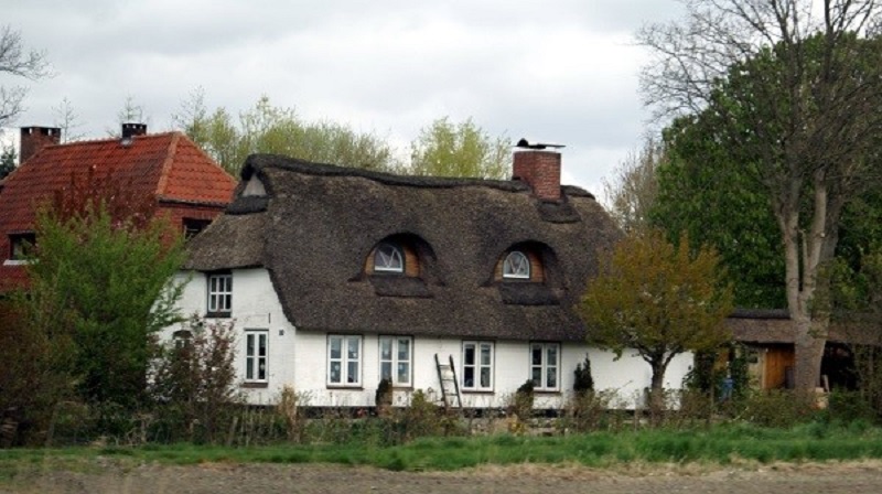 thatched-roof-1.jpg