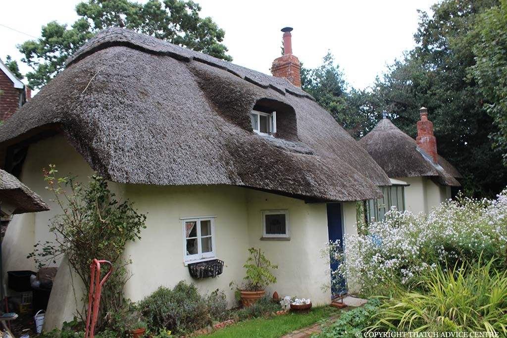 thatched-roof-3.jpg