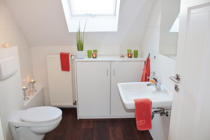 Tips for bathroom furnishing for a pro home