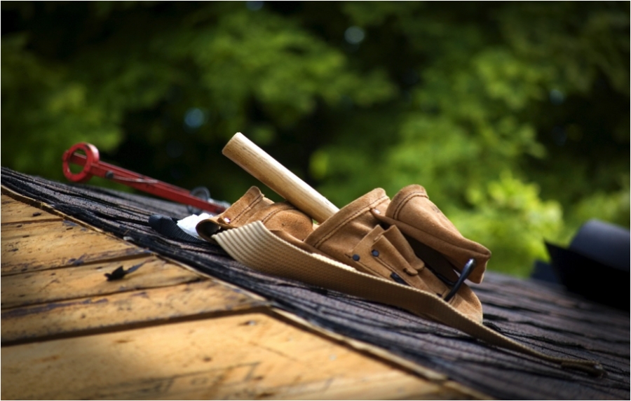 Tips for Roofing Renovations: Different Ideas to Enhance  the Appearance of Your Roof