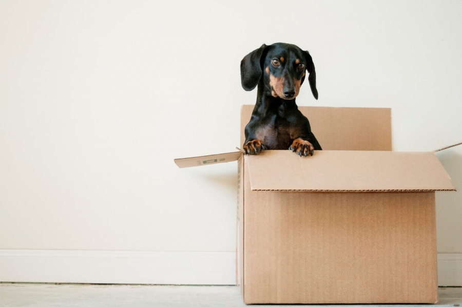 How to Destress Downsizing