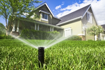 5 Tips to Ensure Your Lawn and Garden Get the Right Amount of Water