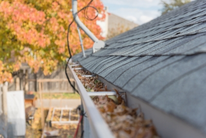 Are My Gutters Jeopardising My Home Insurance?