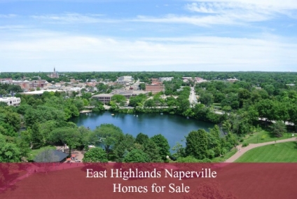 East Highlands Naperville Homes for Sale