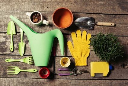 5 Essential Tools for Any Gardener