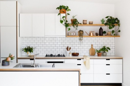 Your Ultimate Guide to a Greener Kitchen
