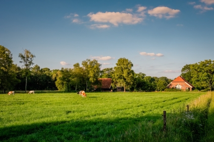 Buying Land vs House: What Are the Differences?