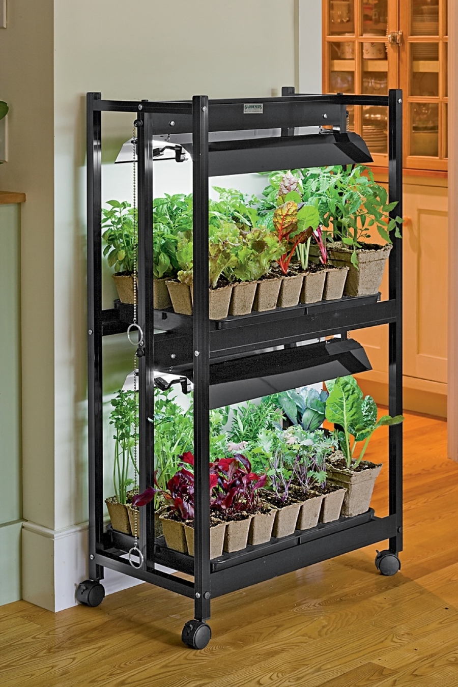 Home Decoration - 7 Stylish Ways To Use Indoor Plants