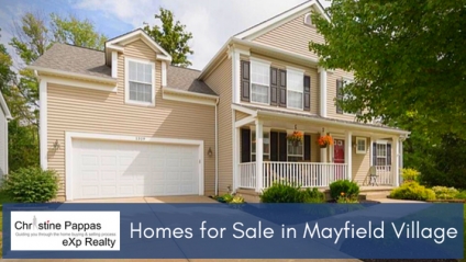Homes for Sale in Mayfield Village